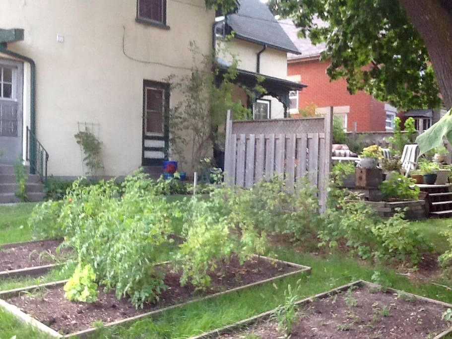 Vegetable and perennial gardens