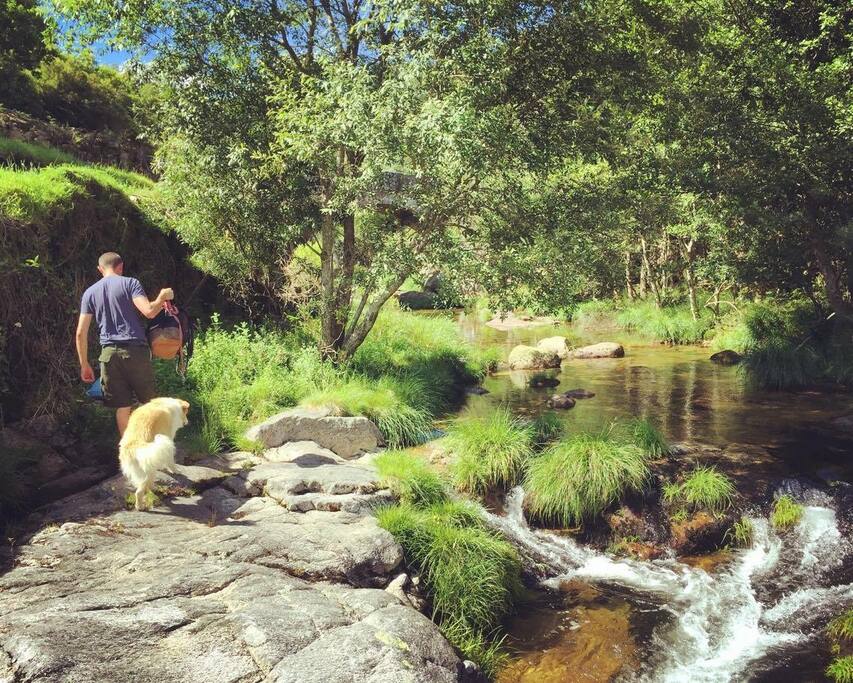 Beautiful rivers to explore