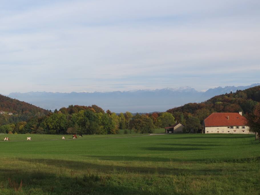 Vue depuis le balcon
