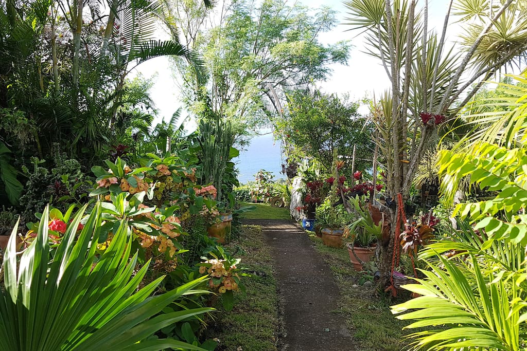 Allée jardin