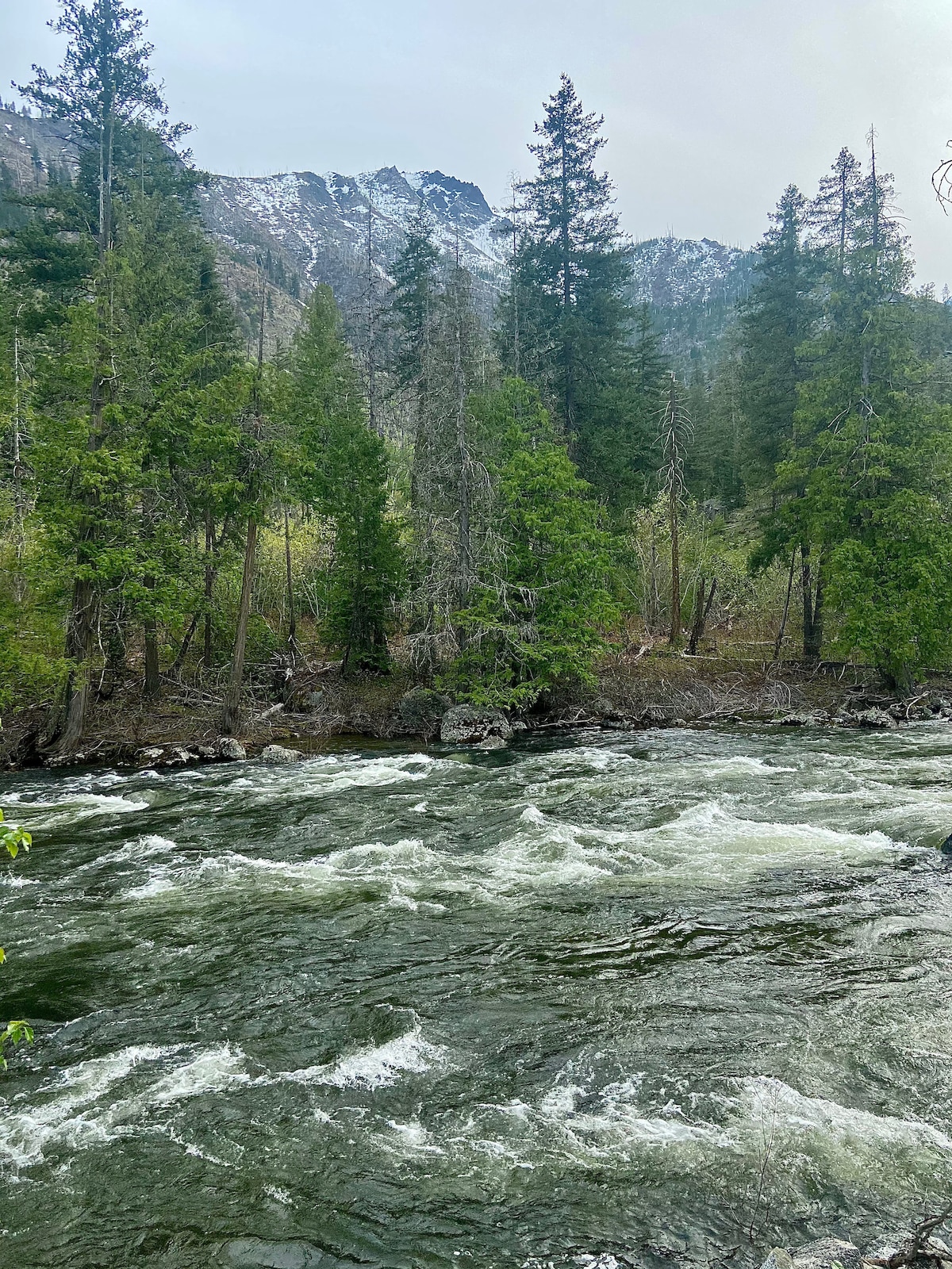 A flowing river is surrounded by tall evergreen trees, with rocky banks partially visible. In the background, rugged mountains rise, their peaks dusted with snow. The scene conveys a natural setting, ideal for outdoor exploration.