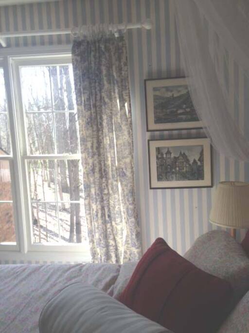 Room with a view