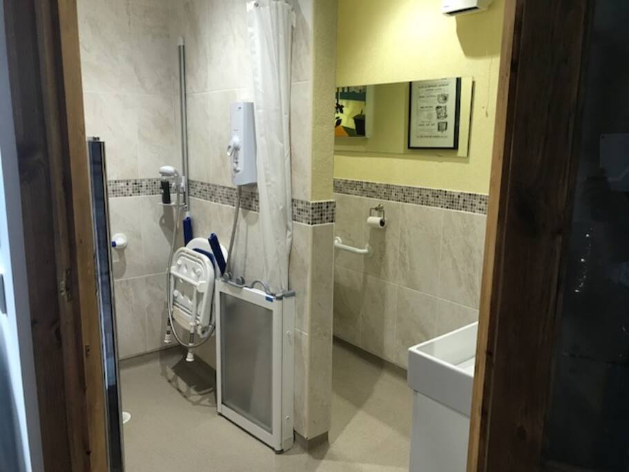 Wet room with accessible shower, seat, toilet and sink