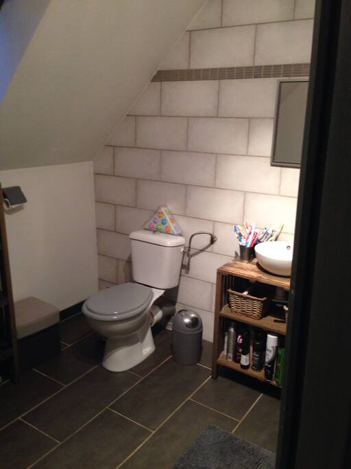 Deux toilettes : A l'étage et tes de chaussée
