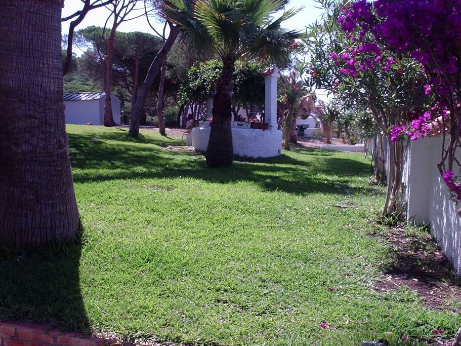 jardin