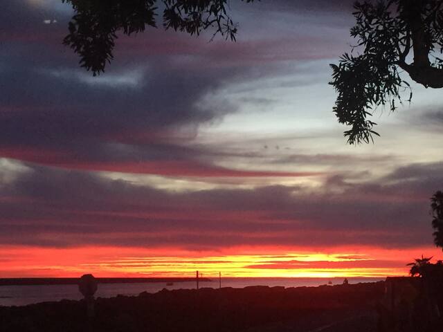 2MissionBeachHMs/OceanFRONT/Sunset/Views/5Patios gallery image 2