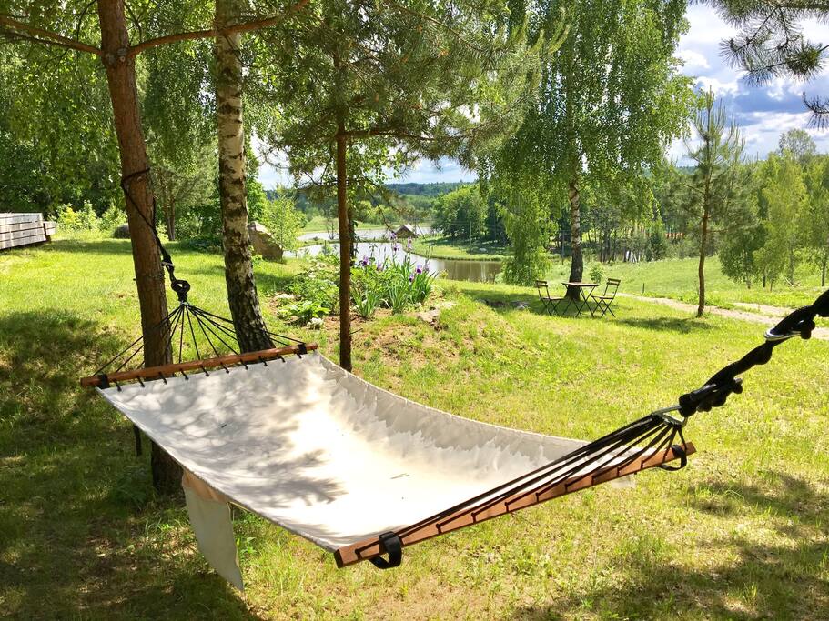 Front yard in summer time