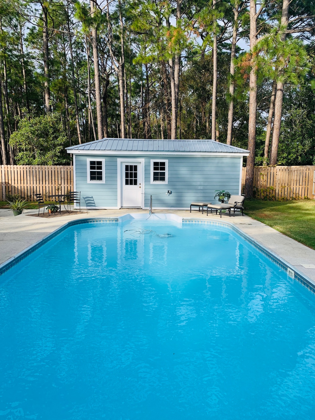 A clear blue pool reflects surrounding greenery, bordered by a concrete deck. Lounge chairs are positioned on one side, and a small shed with a light blue exterior and white door is visible in the background, framed by tall trees.