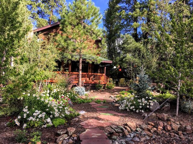 Rustic Mountain Retreat The Wagner Cabin Cabins For Rent In