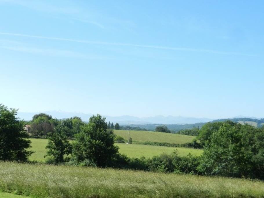 view of Pyrenees from the pool