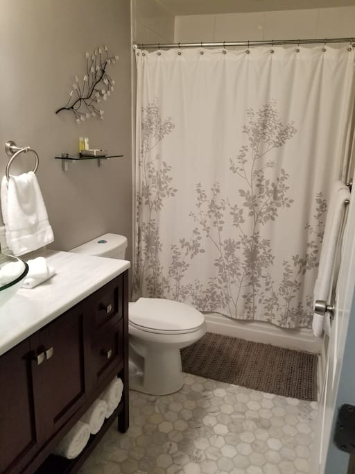 Guest bathroom.