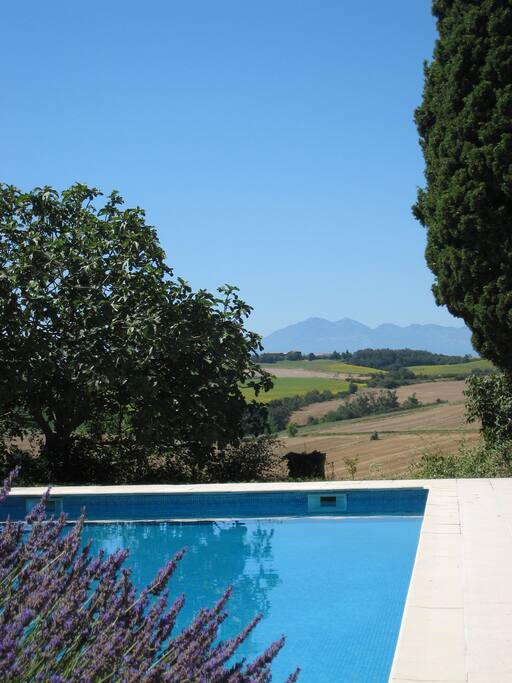 Pool and view