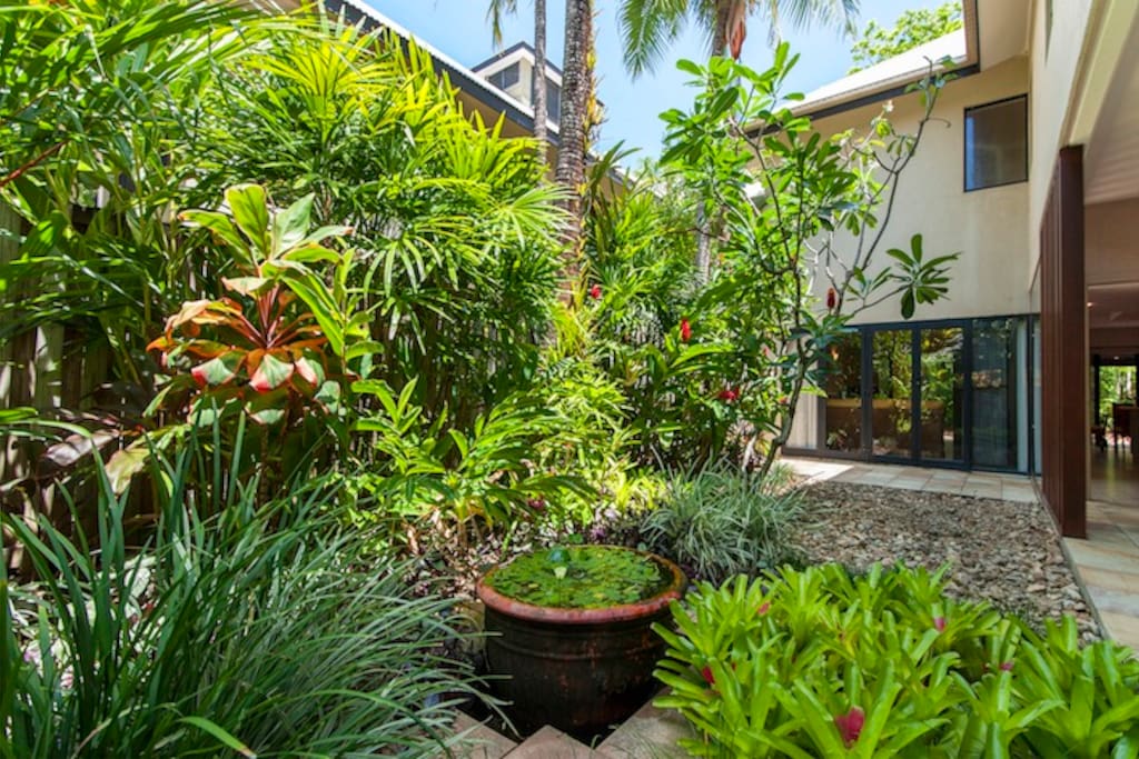 Your courtyard with tropical garden
