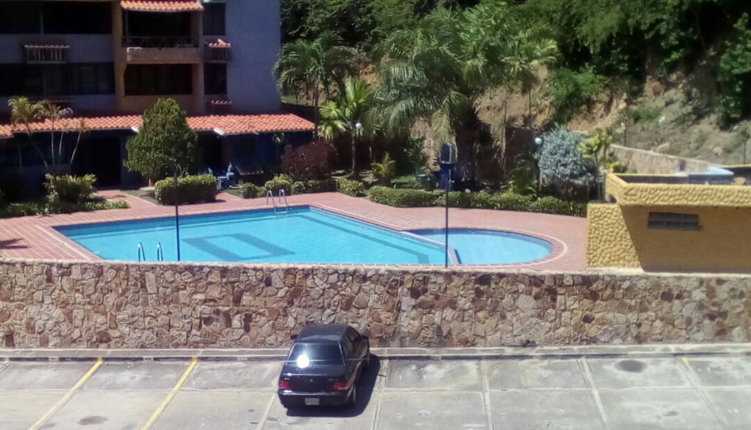 A well-maintained outdoor pool is framed by tropical landscaping, with palm trees and hedges providing a lush backdrop. Lounge chairs line the poolside, inviting relaxation. A stone wall separates the pool area from an adjacent parking lot, where a vehicle is parked.