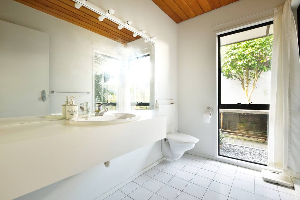 The private toilet and sink