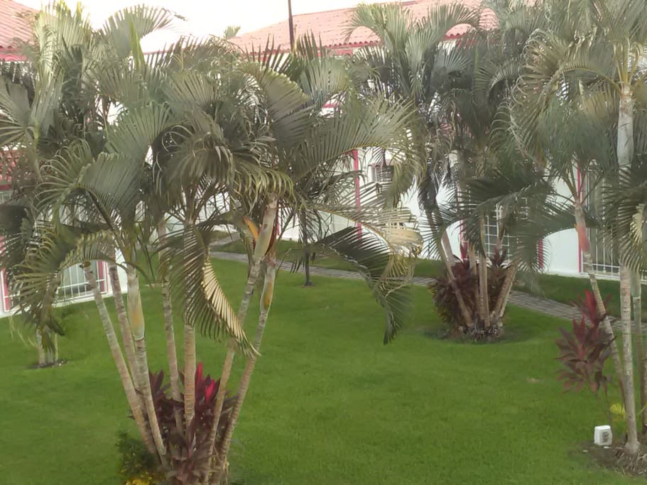 Jardín en excelentes condiciones de cuidado
