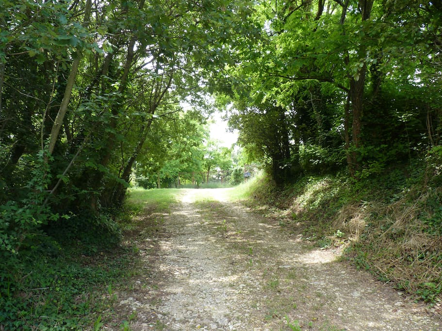 Petit chemin de terre qui mène à la maison