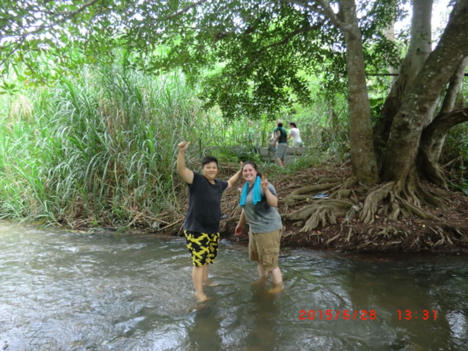 Stream nature bath