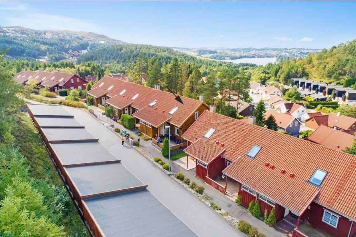 Aerial view of a serene neighborhood featuring low-rise red wooden houses with sloped roofs nestled among lush greenery. A paved road runs parallel to the homes, with several cars parked and trees creating a tranquil backdrop, enhancing the peaceful ambiance of the area.