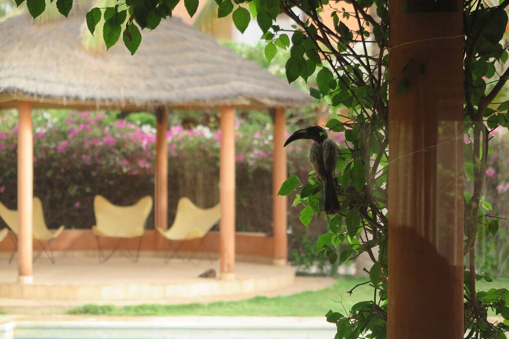 pergola