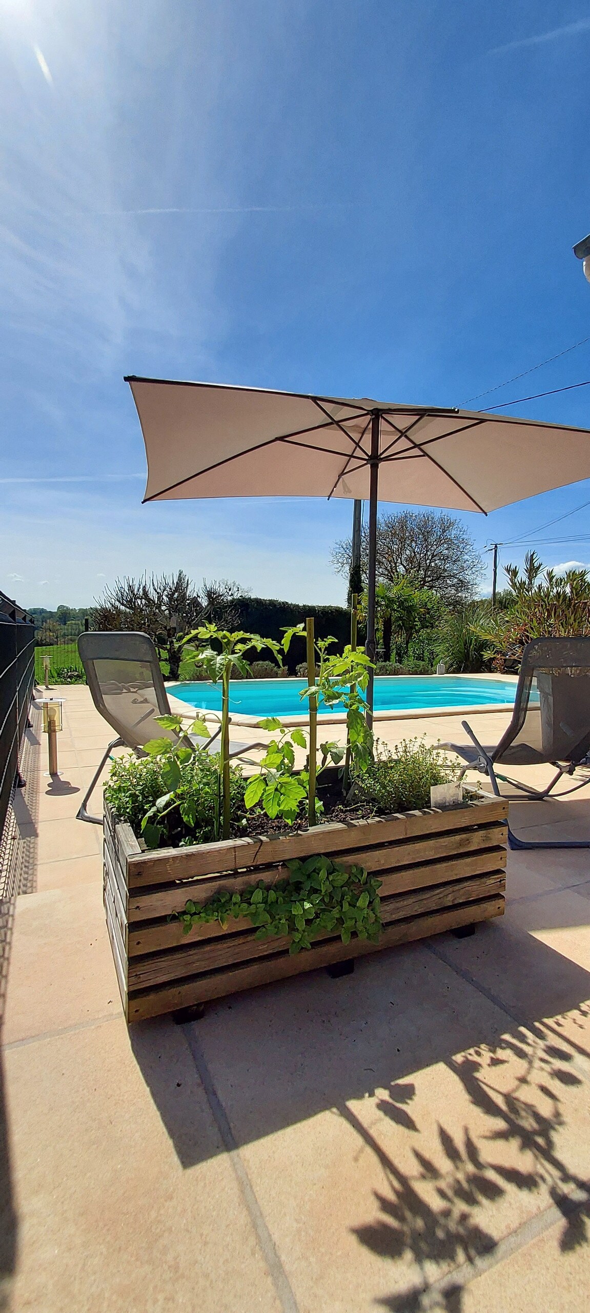 An outdoor area features a swimming pool surrounded by a sunlit patio. A large umbrella provides shade over comfortable seating. A wooden planter box holds a variety of green plants, adding a touch of nature to the space.