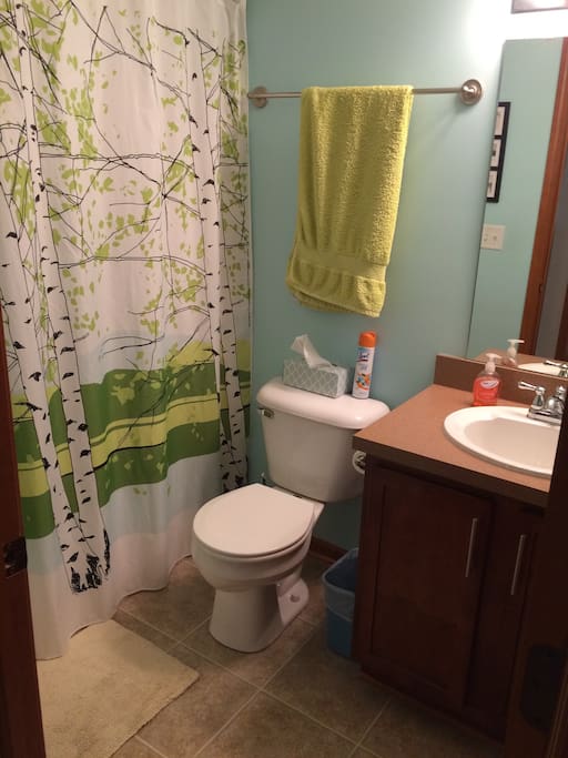 Bathroom for guests to use.