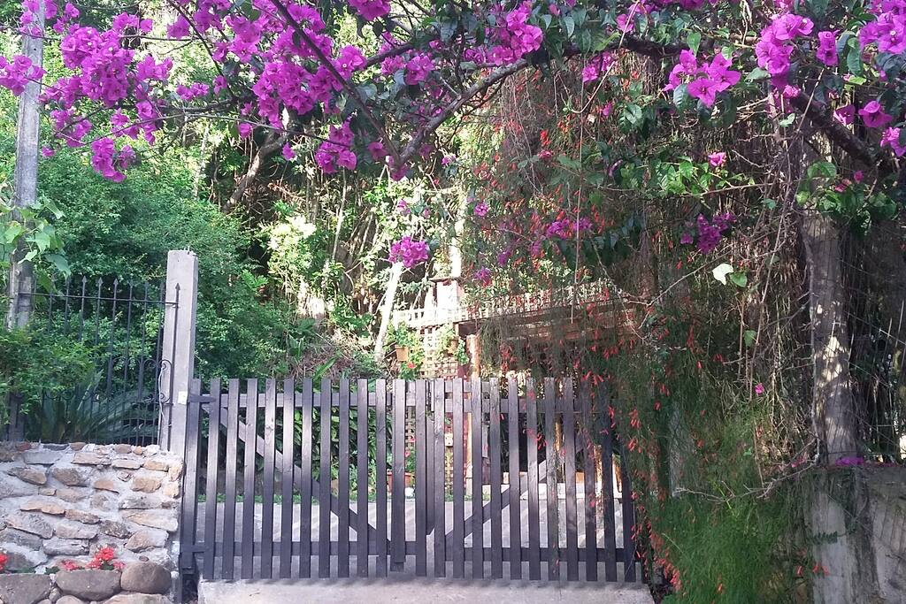 Casa em local tranquilo, integrada à mata Atlântica, com a presença de várias espécies de pássaros.