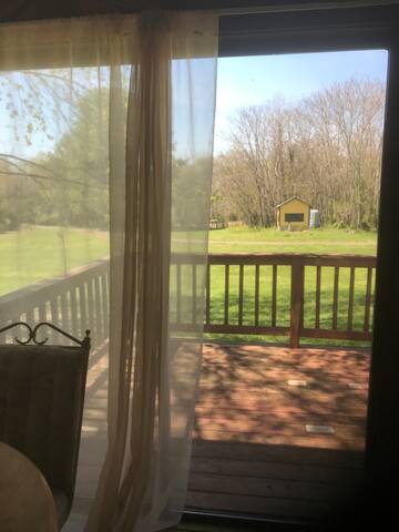 HB1 at Spring Haven Farm