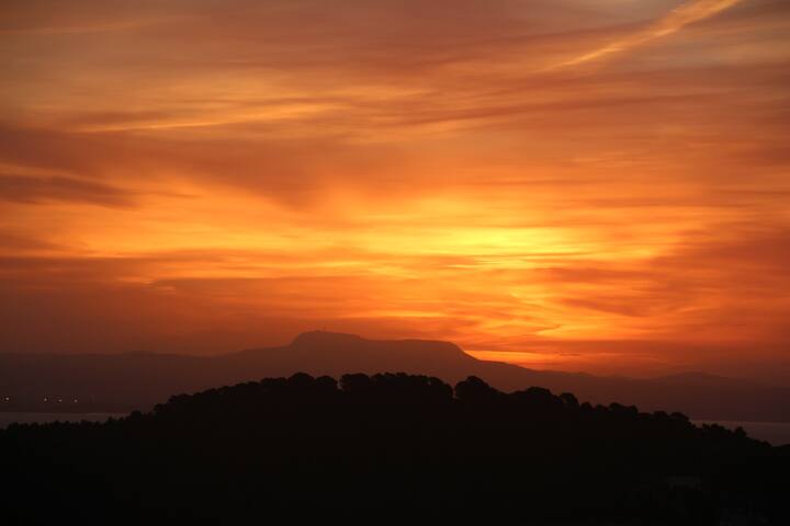 Villa Clausen – Pool Villa – Portals gallery image 2