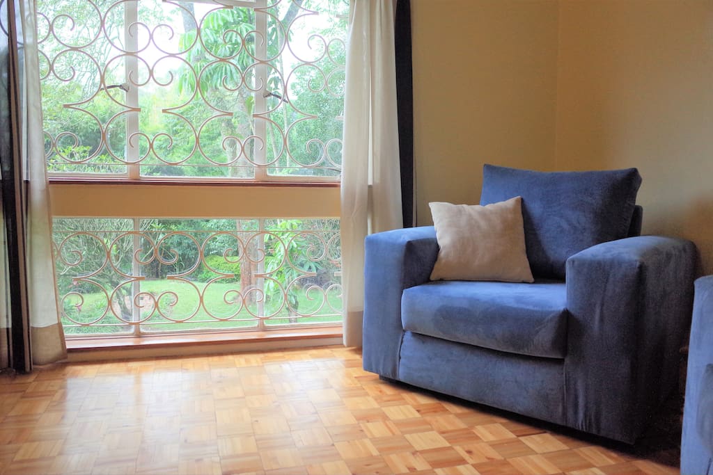 Beautiful living room with garden view