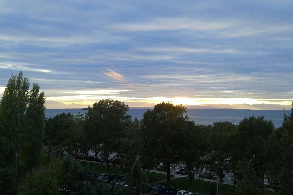 view