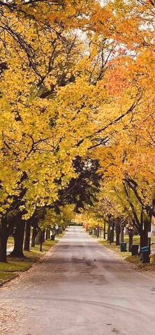 3 blocks to Strong/Golisano, UofR gallery image 5