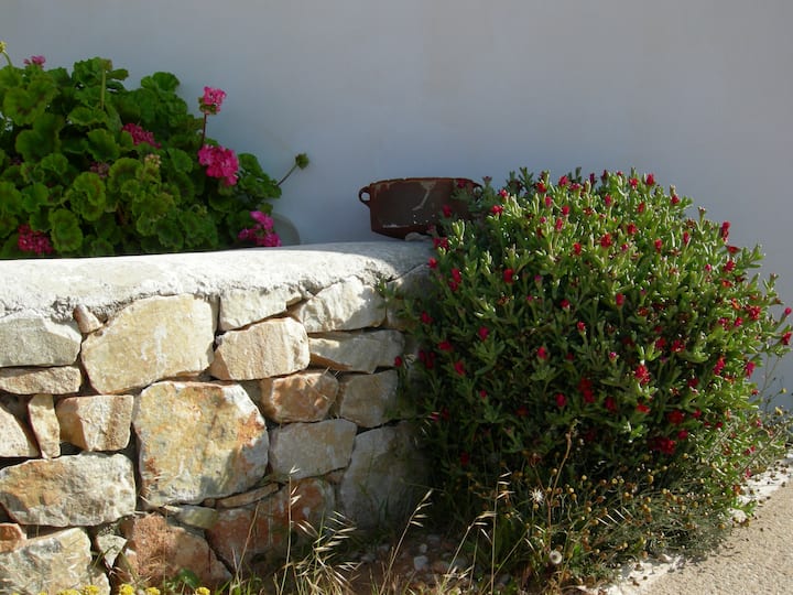 MARKOULI STUDIOS 1