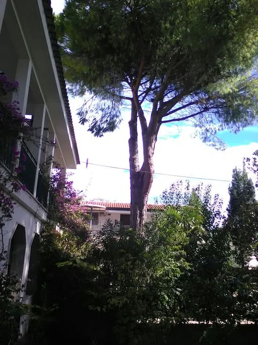 vista dal giardino
