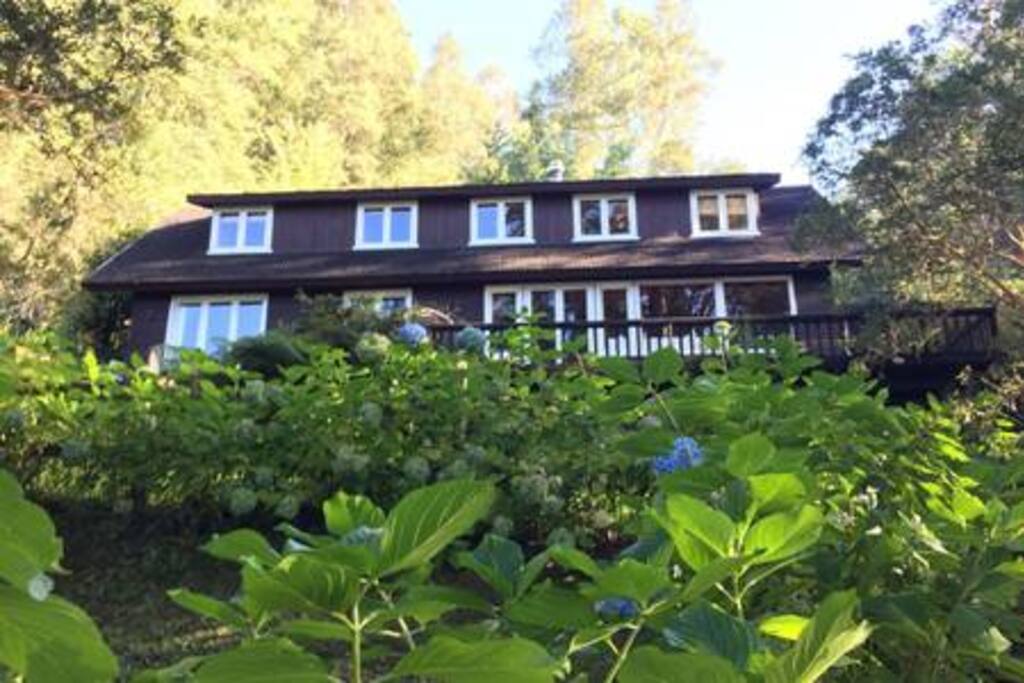 Front view of the house