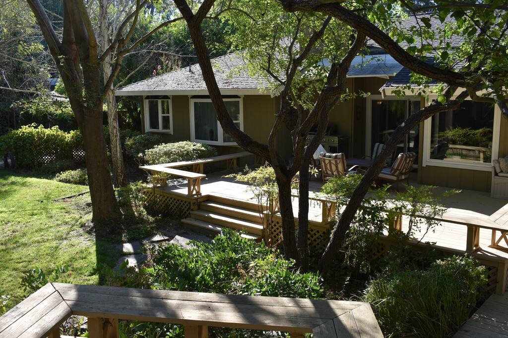 Quiet backyard.