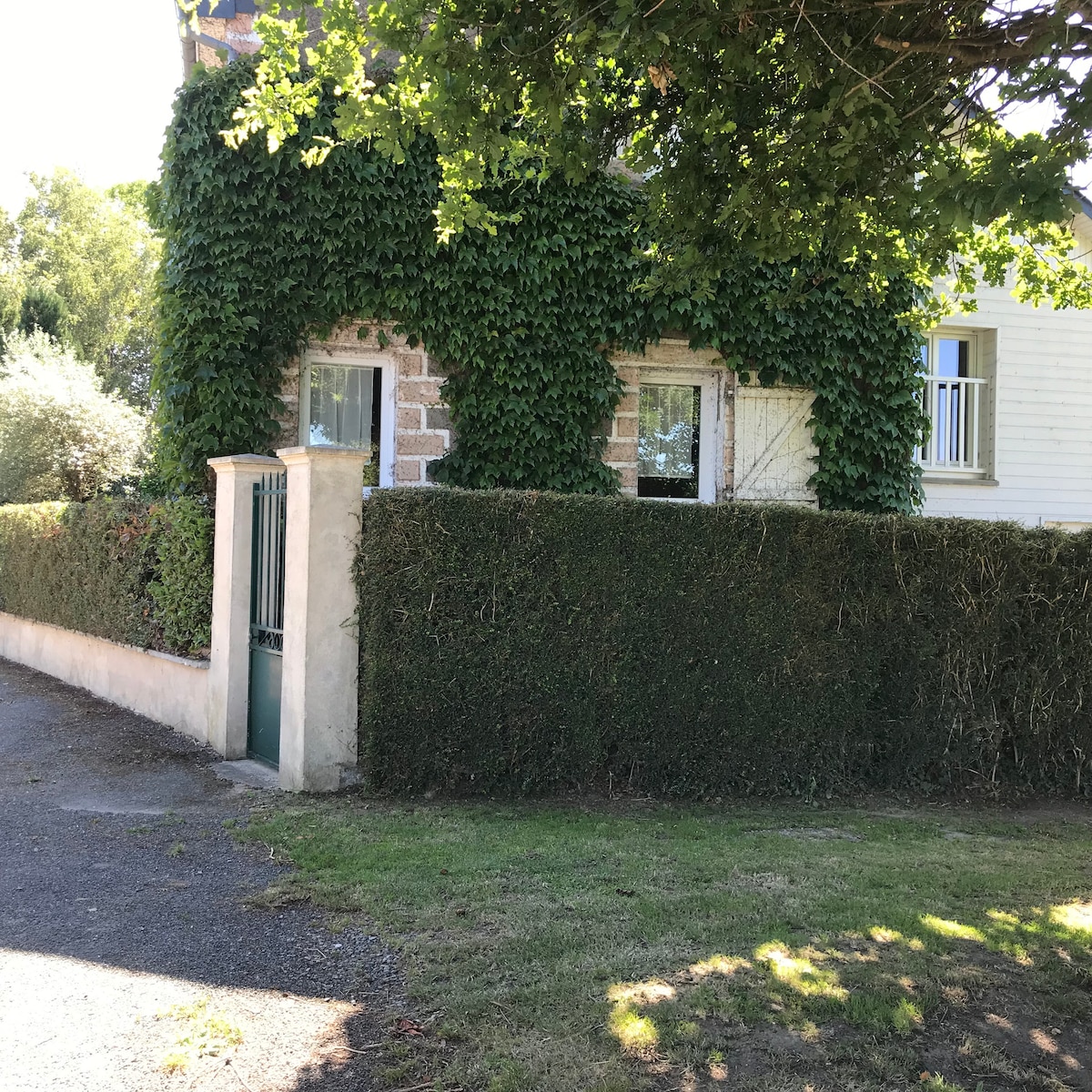 The exterior of a charming house is covered in lush green ivy, providing a natural element to the facade. Two windows are visible behind the greenery, and a neatly trimmed hedge borders the property. A gated entrance leads to a path through the garden.