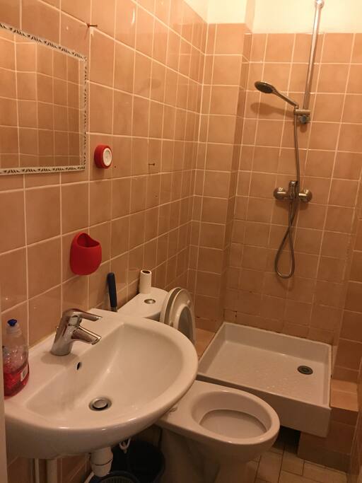 SDB avec douche, lavabo et WC, en parfait foncionement
