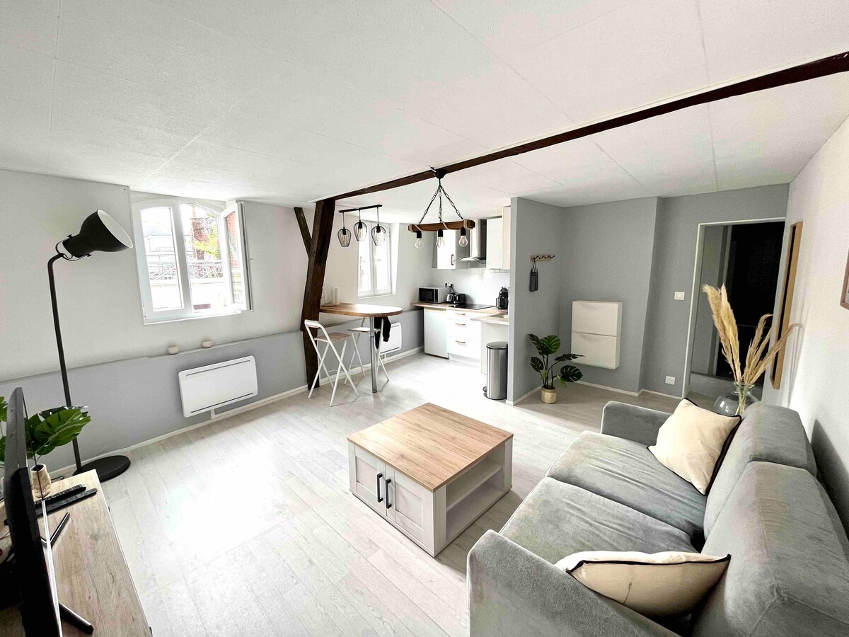 Top Airbnb: Quiet apartment, right in the center. à Douai