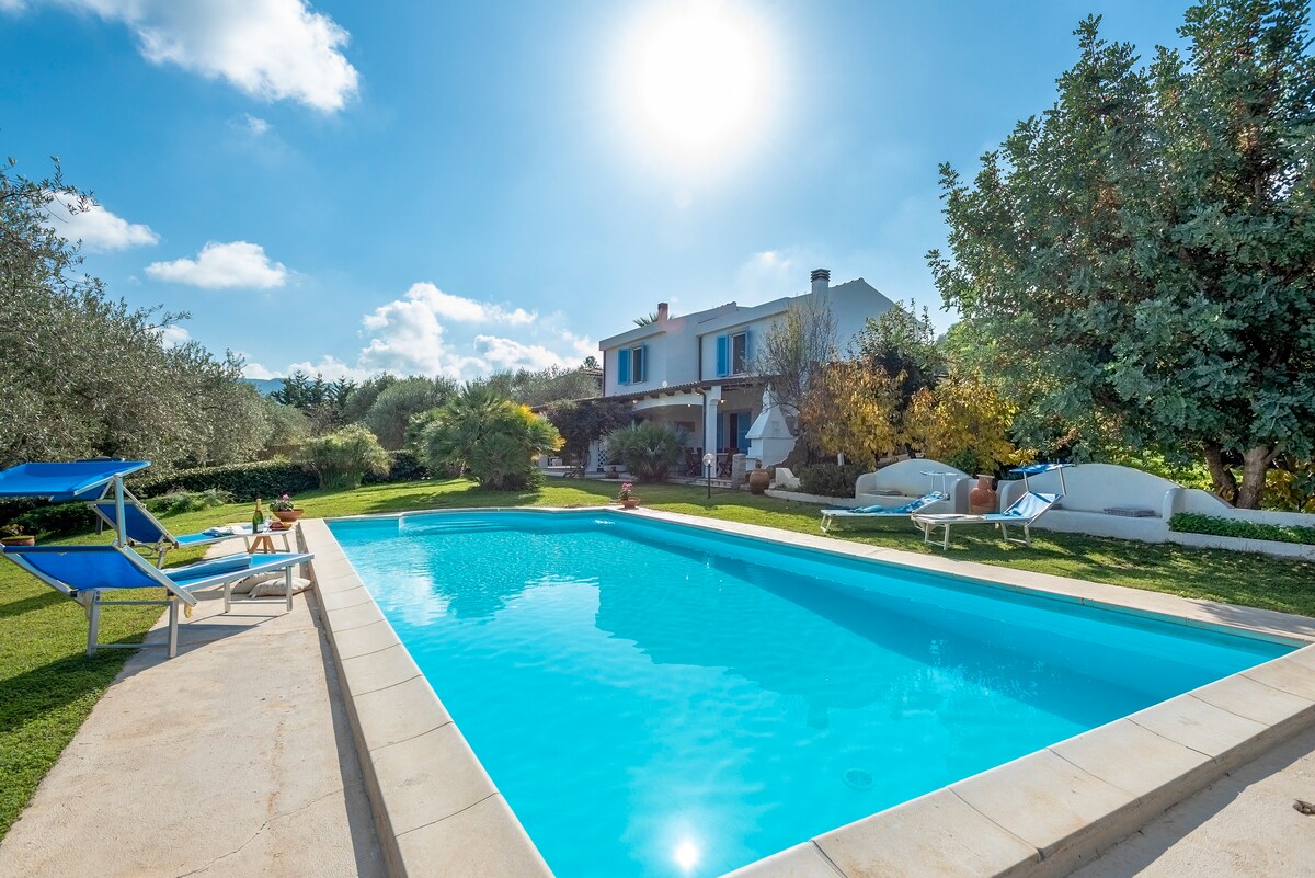 A serene outdoor area features a large swimming pool surrounded by lush greenery and vibrant trees. Sun loungers are positioned beside the pool, and a spacious lawn provides ample room for relaxation. Natural light from the sun creates a calm ambiance in the setting.