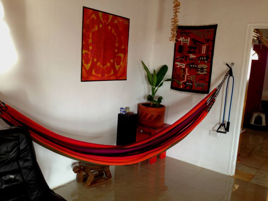 hammock in livingroom