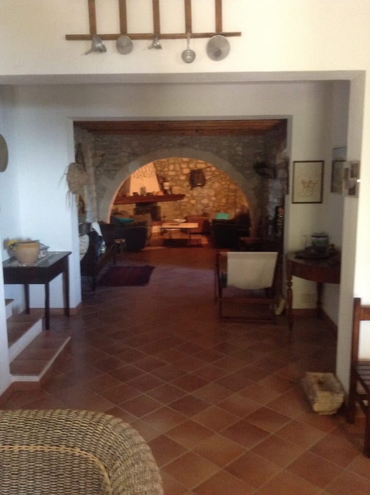 一楼设有壁炉和休闲区的背景石拱门