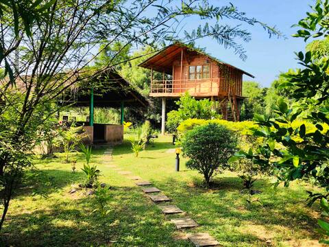 Sungreen cottage sigiriya ( Amazing T/H )