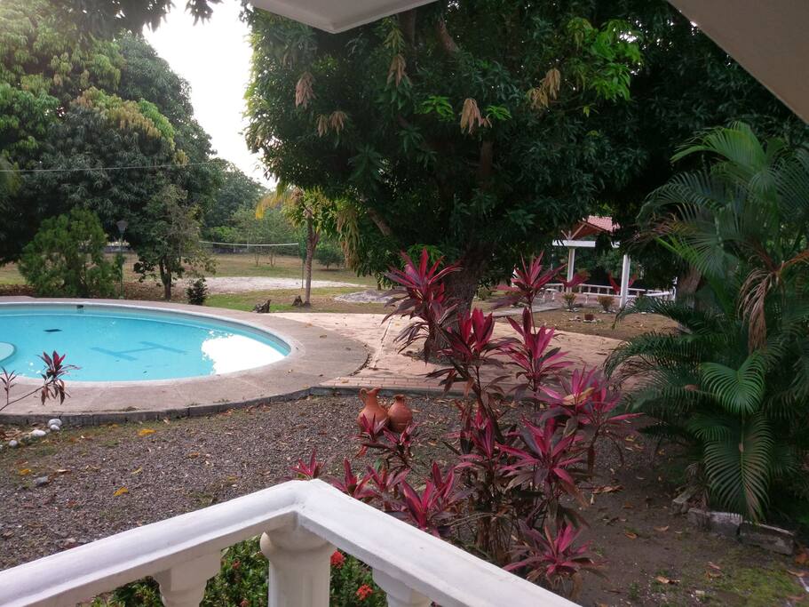 piscina, cancha de voleibol