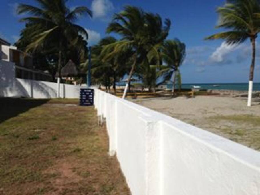 vista do jardim