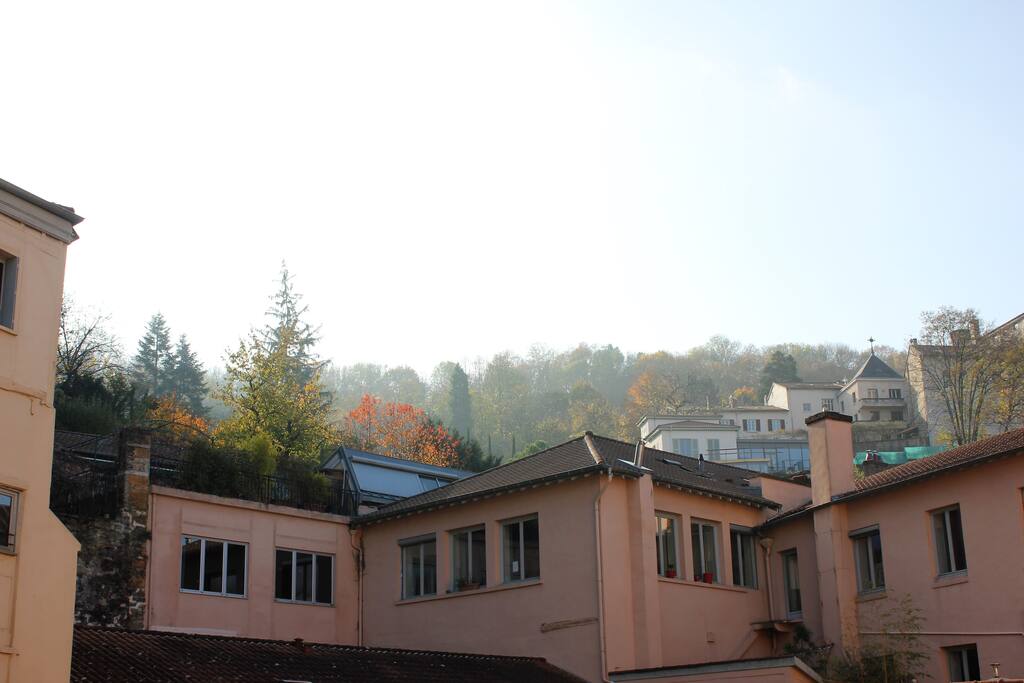 Window view - Peacefull environment