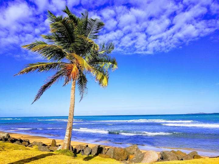 Luquillo Vacation Rentals & Homes Puerto Rico Airbnb