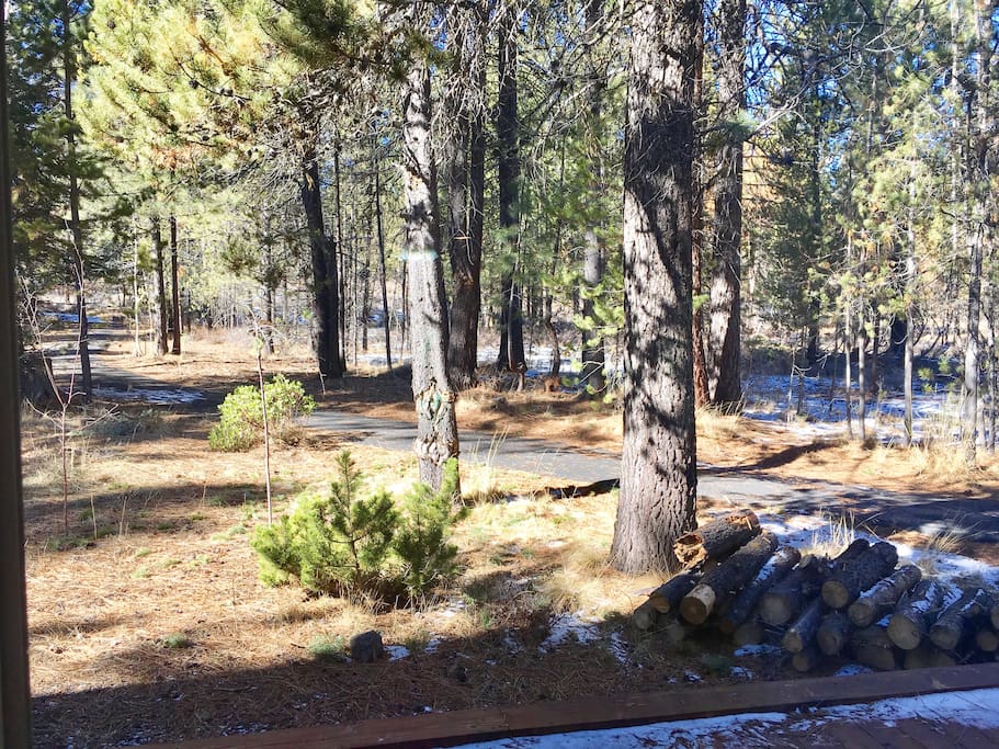 View from living room (walking path and Deschutes National Forest)