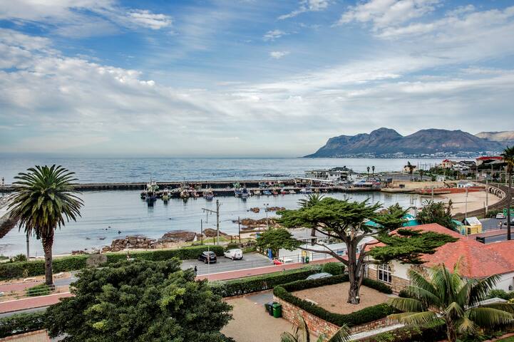 Penthouse Apartment with spectacular views gallery image 3