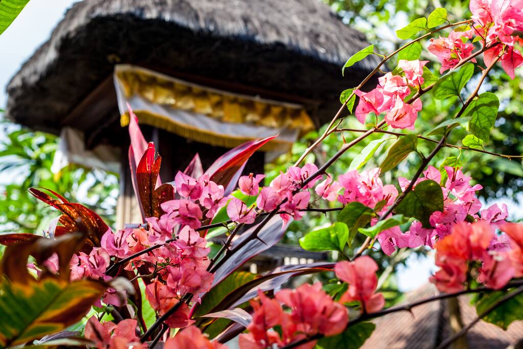 Temple and garden